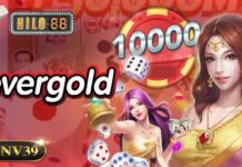 fevergold เสี่ยงโชคไปกับเงินกำไรที่ทุกคนจะได้รับความสนุกกันทุกเวลา fevergold