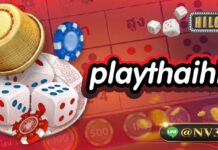 playthaihilo ความโดดเด่นในการเดิมพันที่มีครบทุกวงจร playthaihilo