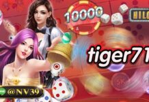 tiger711 สร้างกำไรได้ตามความต้องการแบบรวดเร็วที่สุด tiger711