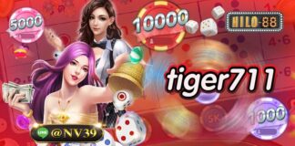 tiger711 สร้างกำไรได้ตามความต้องการแบบรวดเร็วที่สุด tiger711