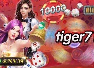 tiger711 สร้างกำไรได้ตามความต้องการแบบรวดเร็วที่สุด tiger711