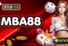 IMBA88 เปิดประสบการณ์ลงทุนมือใหม่ที่นักพนันต้องชอบที่สุด IMBA88