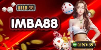 IMBA88 เปิดประสบการณ์ลงทุนมือใหม่ที่นักพนันต้องชอบที่สุด IMBA88